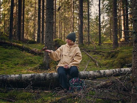 Once Upon a Time in Forest - Trailer
