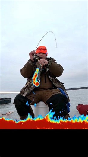 Whitefish Livescope Action! #Ice #fishing #whitefish #greenbay #garmin #livescope #reels | Shia's Outdoor Adventures