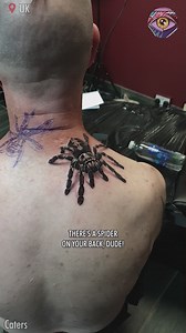 Just imagine people screaming when he goes to the beach 🤣 | Chris & Emily