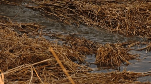 Kewaunee County farm to be cited after manure runoff; residents worry about water quality