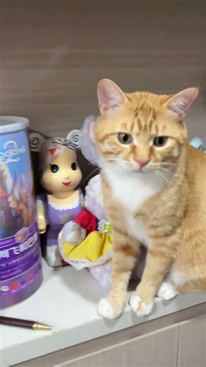 Cute Kid About to Pull Off Another Prank! Drawer Opening Master