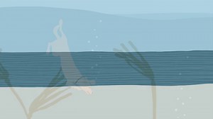 Watch Fetch on Amazon Live