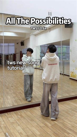 TWS New Song Dance Tutorial: All The Possibilities