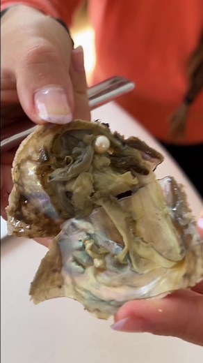 😎Das spannendste Geschenk am Weihnachtsbaum!🎄