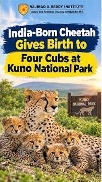 India-Born Cheetah Gives Birth to 4 Cubs at Kuno National Park | Project Cheetah Big Success