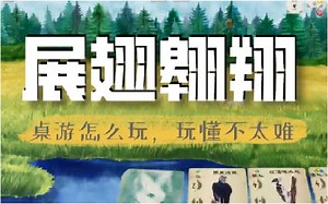 【桌游怎么玩】展翅翱翔，试玩，界面介绍，Wingspan