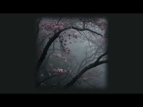 𝜗𝜚⋆₊˚ Calming Sped/Slowed Tiktok Audios + Timestamps ִ ࣪𖤐.ᐟ ₂