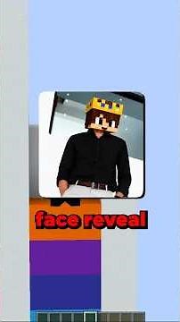FACE REVEAL Block Game! 💀