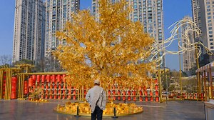 China Golden Tree Urban Display