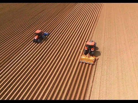 Préparation et semis de carottes