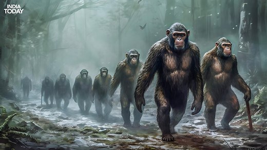 Where did modern humans come from? New study adds twist to theory of our evolution