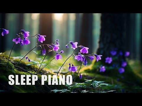 Henry: 12 Hours of Relaxing Sleep Piano Music (Ocb Relax)