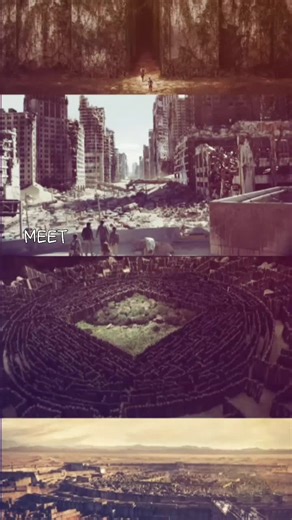 Exploring the Thrills of The Maze Runner