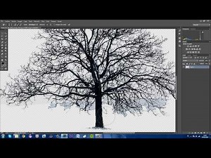 PHOTOSHOP CC | CÓMO BORRAR FONDOS DIFÍCILES | TUTORIAL