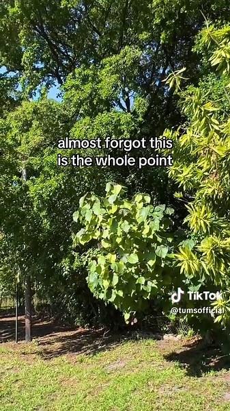 my purpose is to take two TUMS and relax. #TUMS #Heartburn #AlmostForgot #TheWholePoint