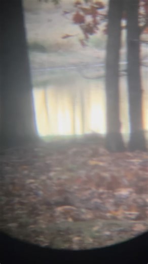 What it looks like when a world champion turkey caller is in deer camp! He never gets tired of calling turkeys and watching deer! | Missouri Hunting and Fishing Adventures | Facebook