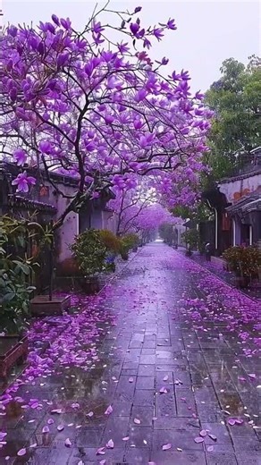 Nature🌿🍃 - Relaxing Rain - Rain Sounds