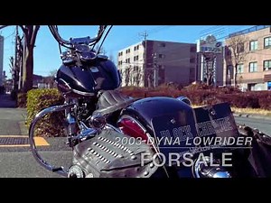 2003 FXDL ダイナローライダー Vintage Custom 走行動画 サンセット