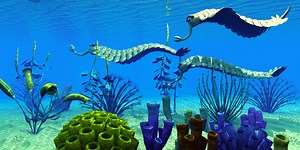 The Evolutionary Development of Multicellular Organisms - Biology Online Tutorial