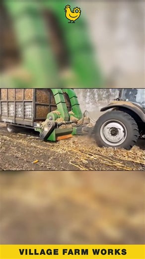 Satisfying Corn Stalk Cleanup 🌽 #FarmMachinery