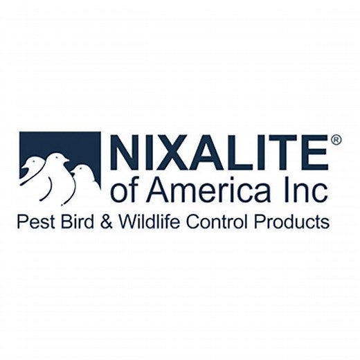 Bird Spikes - Stainless Steel Pigeon Spikes | Nixalite