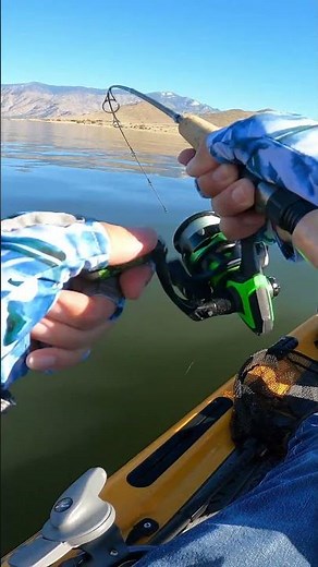 Lake Isabella Crappie 3