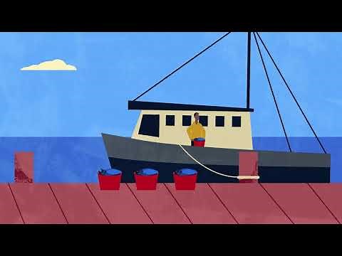 Global Fisheries Need Better Governance to Sustain Key Stocks