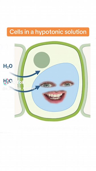 #funny #biology #osmosis