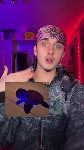 Gorgeous Turtle: Adopt Me Now!