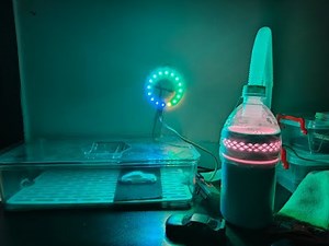 WLED for Beginners: DIY Smart LED Lights!