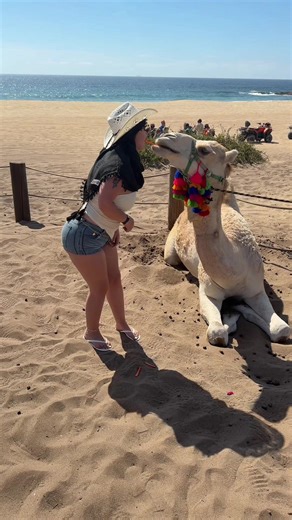 Life is so beautiful 🥹🐫