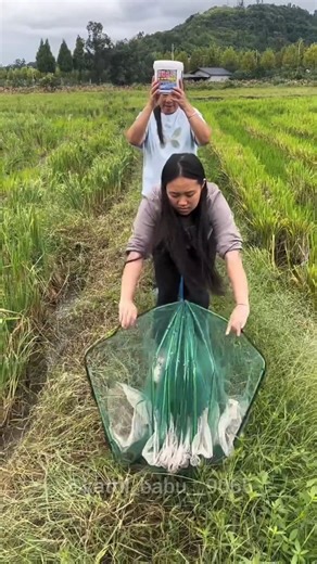 मछली पकड़ने का जुगाड़🤯#viral#shortsfeed#shorts