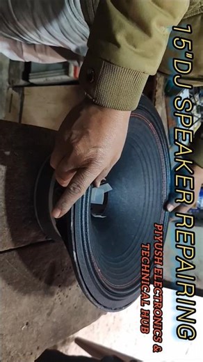 15 Inch DJ Speaker repairing.
