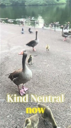 How You Speak to Yourself Changes Everything #innerchildhealing