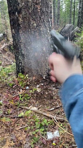 Springfield armory hellcat