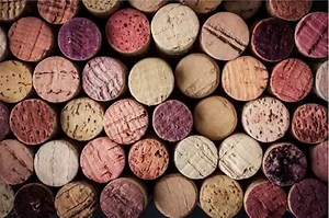 34K views · 404 reactions | Winemakers choose natural cork for its positive effects on wine, in addition to its remarkable sustainable qualities. It's better for our wine, and better for our planet! #WeChooseCork | "100% Cork" | Facebook