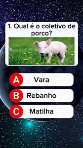 84K views · 1.8K reactions | Qual é o coletino de porco?  Teste de conhecimento geral - Quiz de conhecimentos gerais  #quiz #desafio #conhecimento #conhecimentosgerais #geografia #curiosidades | Quizz Albert | Facebook