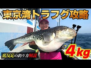 Japan's luxury fish "Tora fugu fishing" - How to fish, how to eat it, and Japanese fishing videos