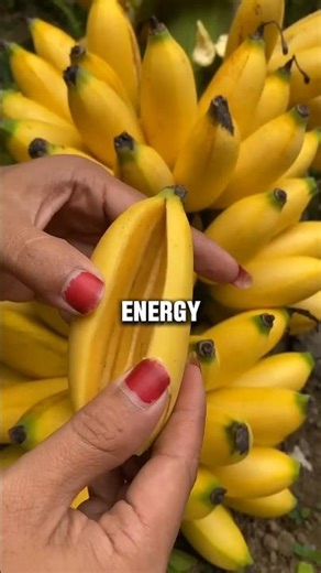 Best Foods to Eat Before Gym, Study, Sleep and Running...