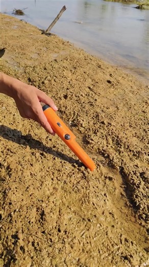 #creatorsearchinsights finding gold jewellery with pinpointer gold detector #findingtreasure #shortsfeed #pinpointer#find