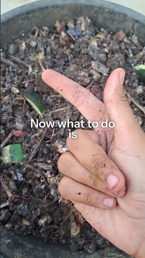 1 rupee DIY Composting in Bucket