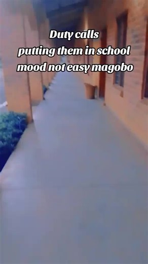 Tyler 'n' Viola (@violaandtyler)’s videos with original sound - Driemo🎩