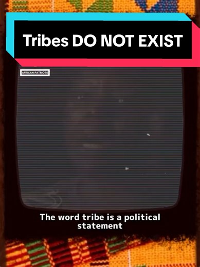 Understanding the Concept of Tribes in Political Context