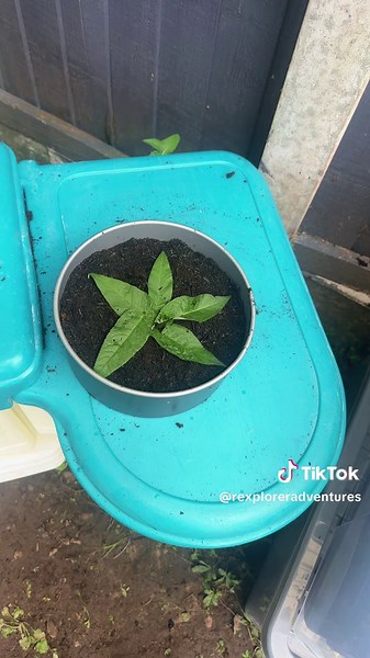 Mud Kitchen Magic: Creative Play for Little Chefs