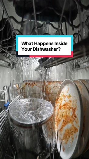 What happens inside your dishwasher? | dishwasher