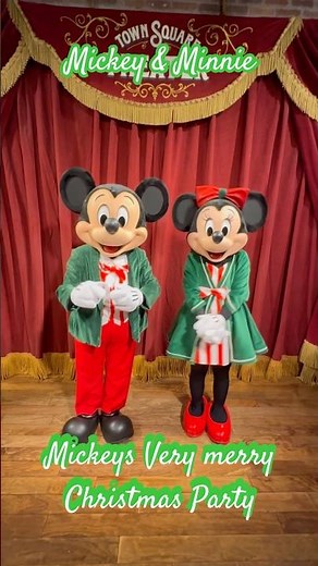 #waltdisneyworld #disneyworld #disney #disneyparks #magickingdom #disneycharacters #disneychristmas