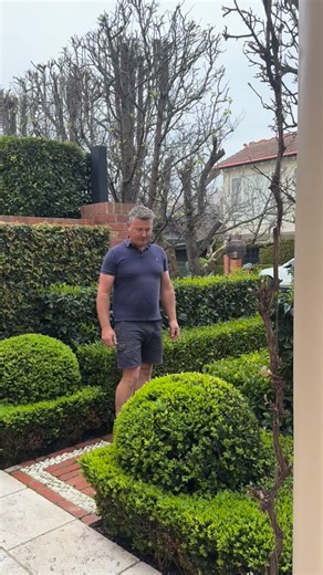 16K views · 416 reactions | GARDEN WALK - pebble inlay path, gardenia hedges and ficus steps makes this garden area a standout. I designed and built this garden 10 years ago and remains one of my favourite projects. | Andrew Stark. Garden Design | Facebook