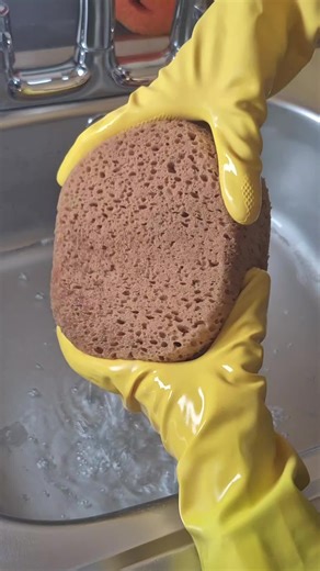Dealing with Stained Sponges: Tips and Tricks