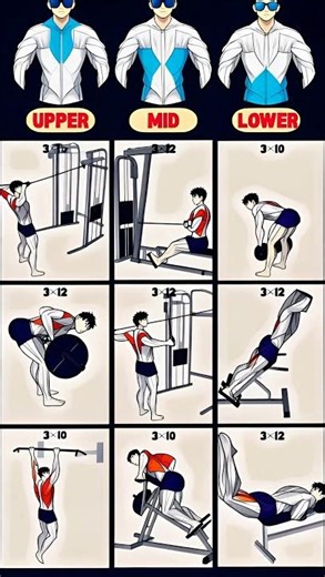 #backexercise #backexercises #backworkout #backworkouts #back #gym #gymbackworkoutatgym