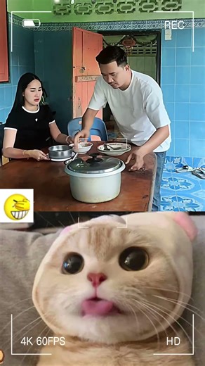 This is so funny, l couldn't stop laughing #funny #funnyvideos#duet #foryou #pov #viral